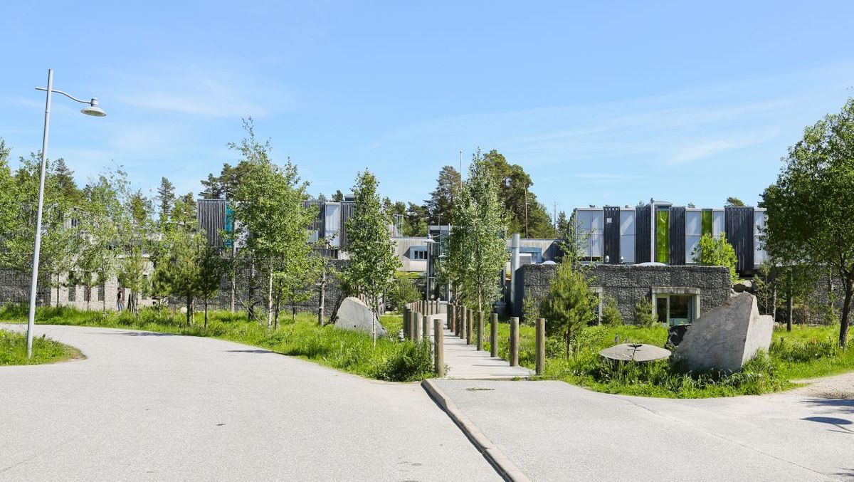 Kvernhuset skole